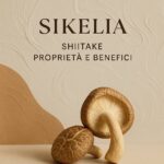 Shiitake proprietà e benefici: scopri questo ingrediente 6 shiitake proprietà e benefici: il fungo fresco e secco, dettaglio sui suoi pregi nutrizionali